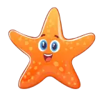 Star Level